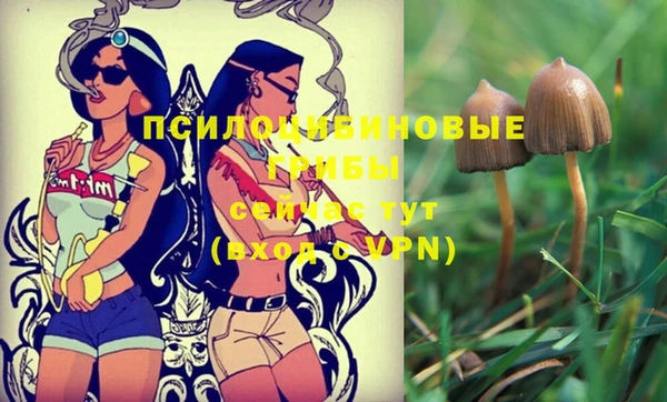 стафф Балахна