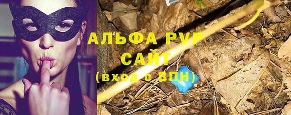 прущий лед Белокуриха